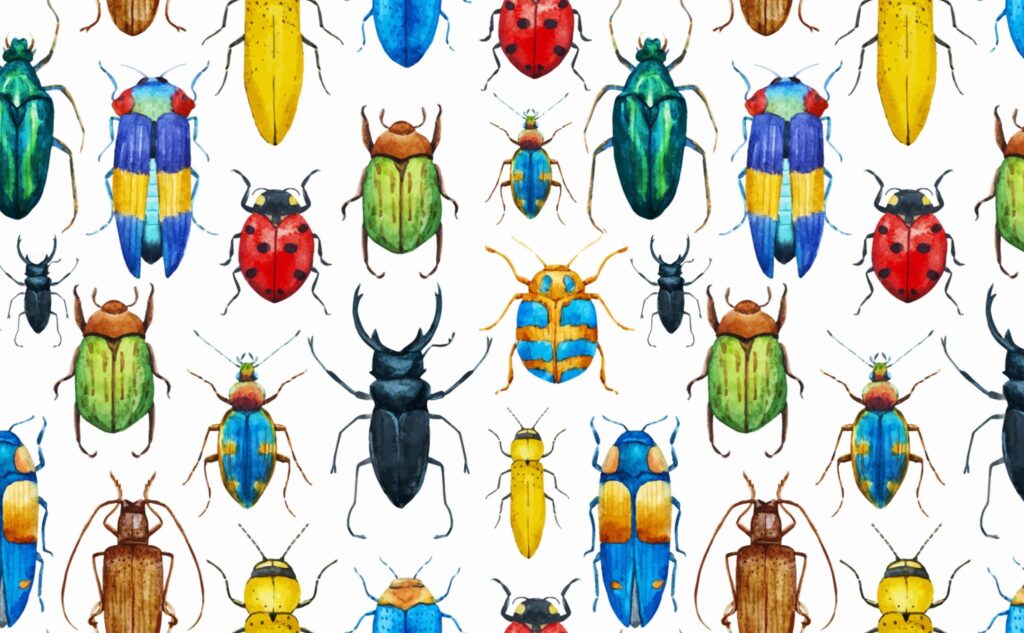 A variety of illustrated, water color bugs who are the best pet bugs to learn about or take care of.