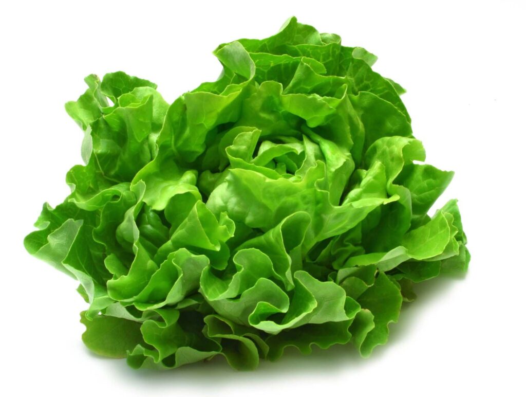 romaine lettuce.