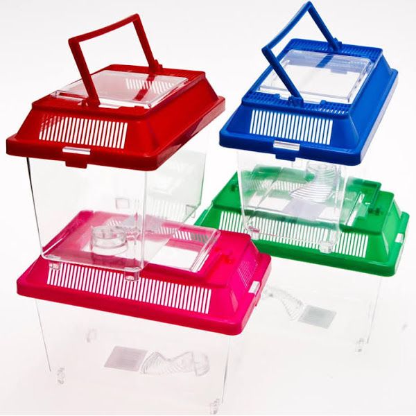 A red, blue, pink, and green plastic bug tanks.